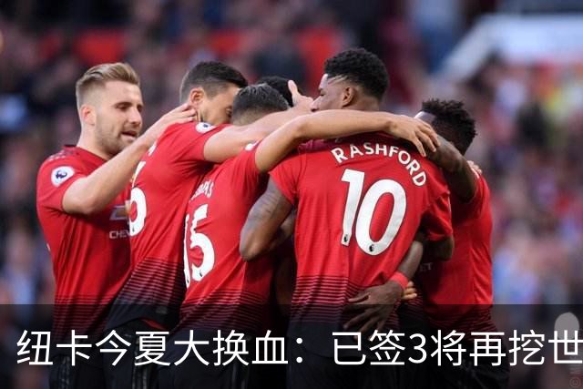 纽卡今夏大换血：已签3将再挖世界杯国脚，托纳利替身浮现